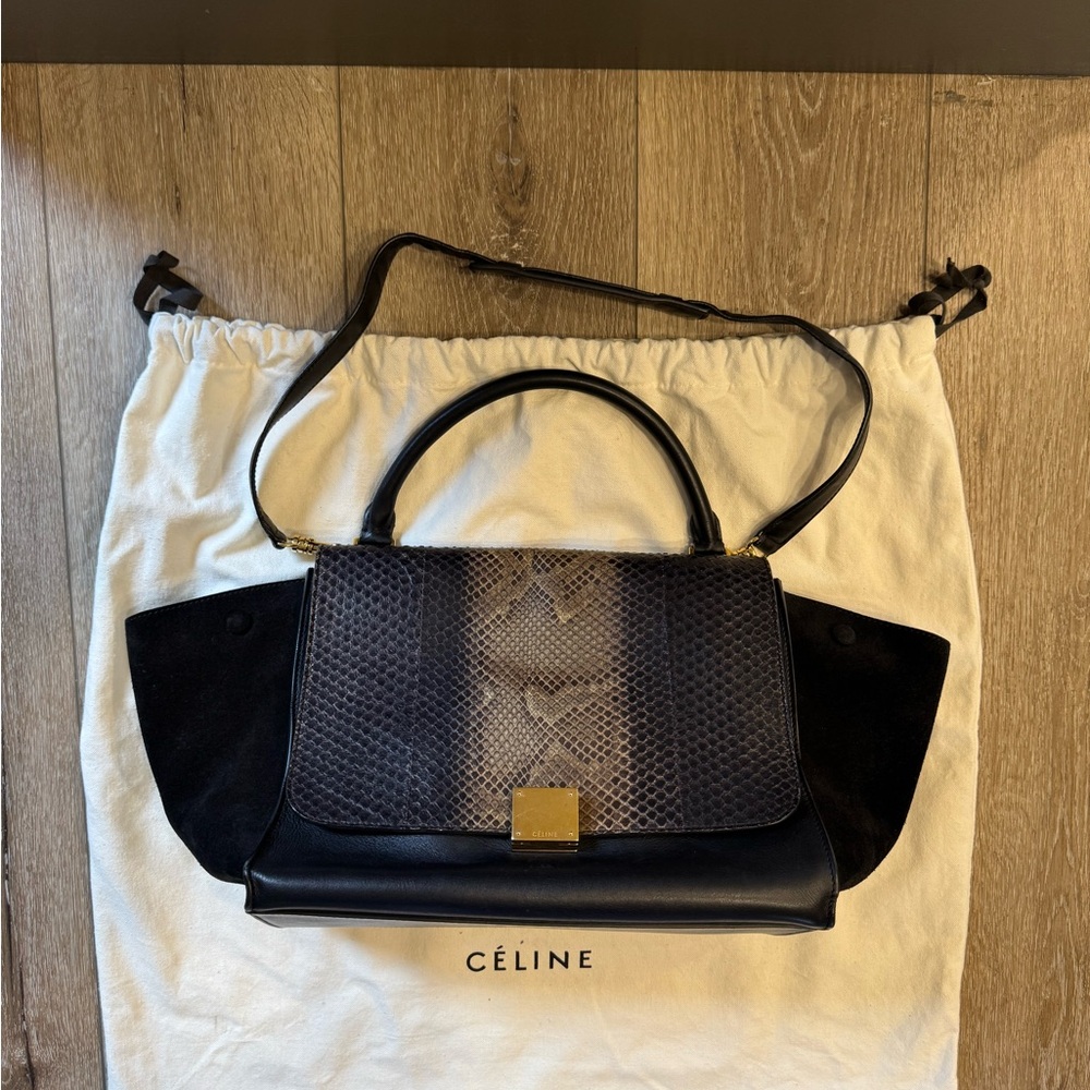 Celine Python Trapeze Bag with shoulder strap - image 7